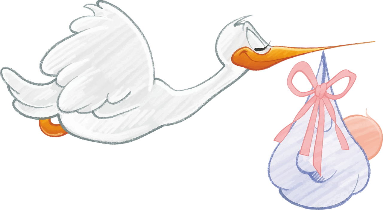 Baby and stork image